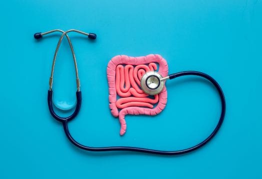Stethoscope on model of intestines