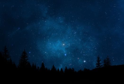 Starry night sky over a dark treeline