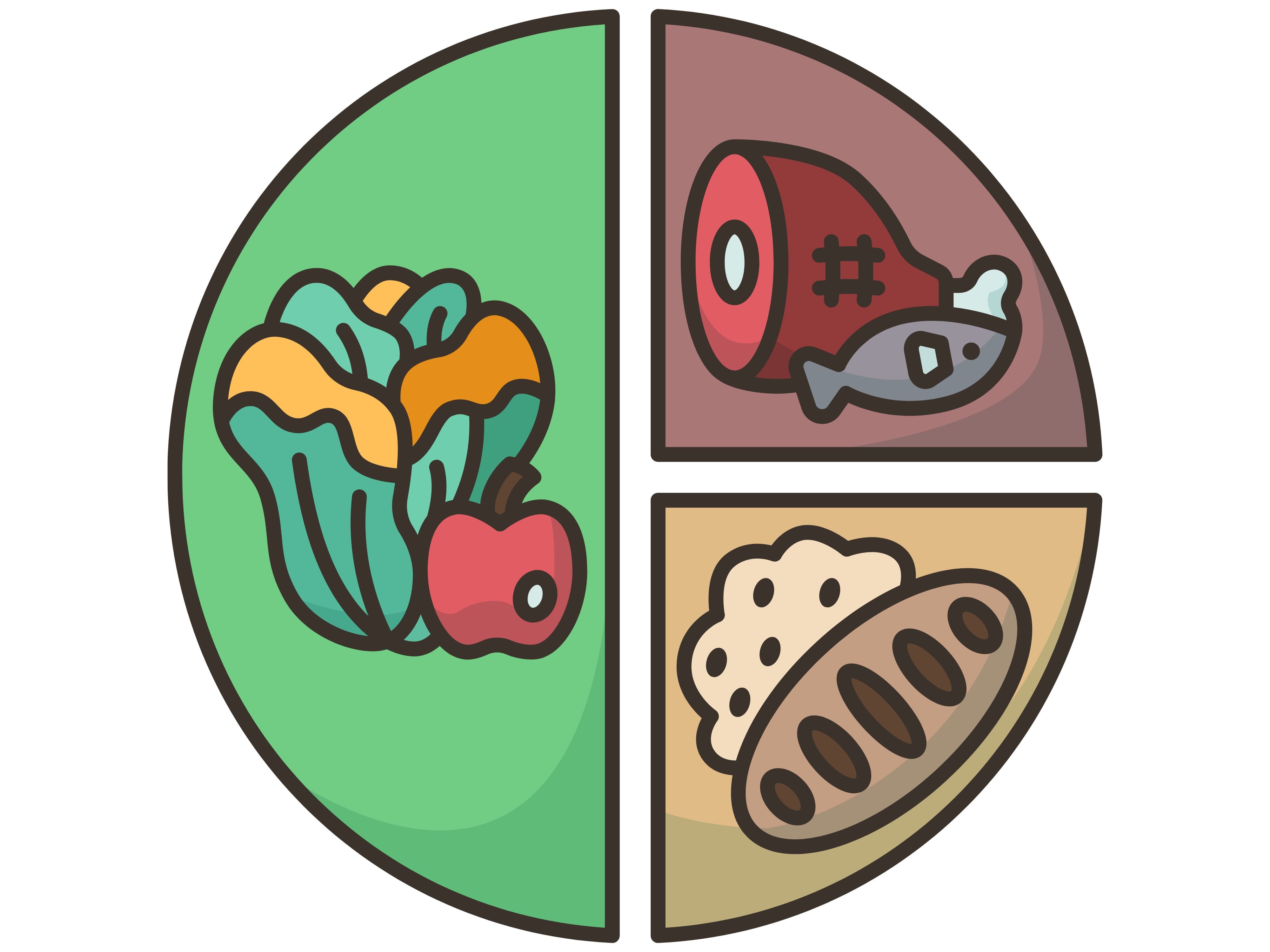 Plate divided into food groups