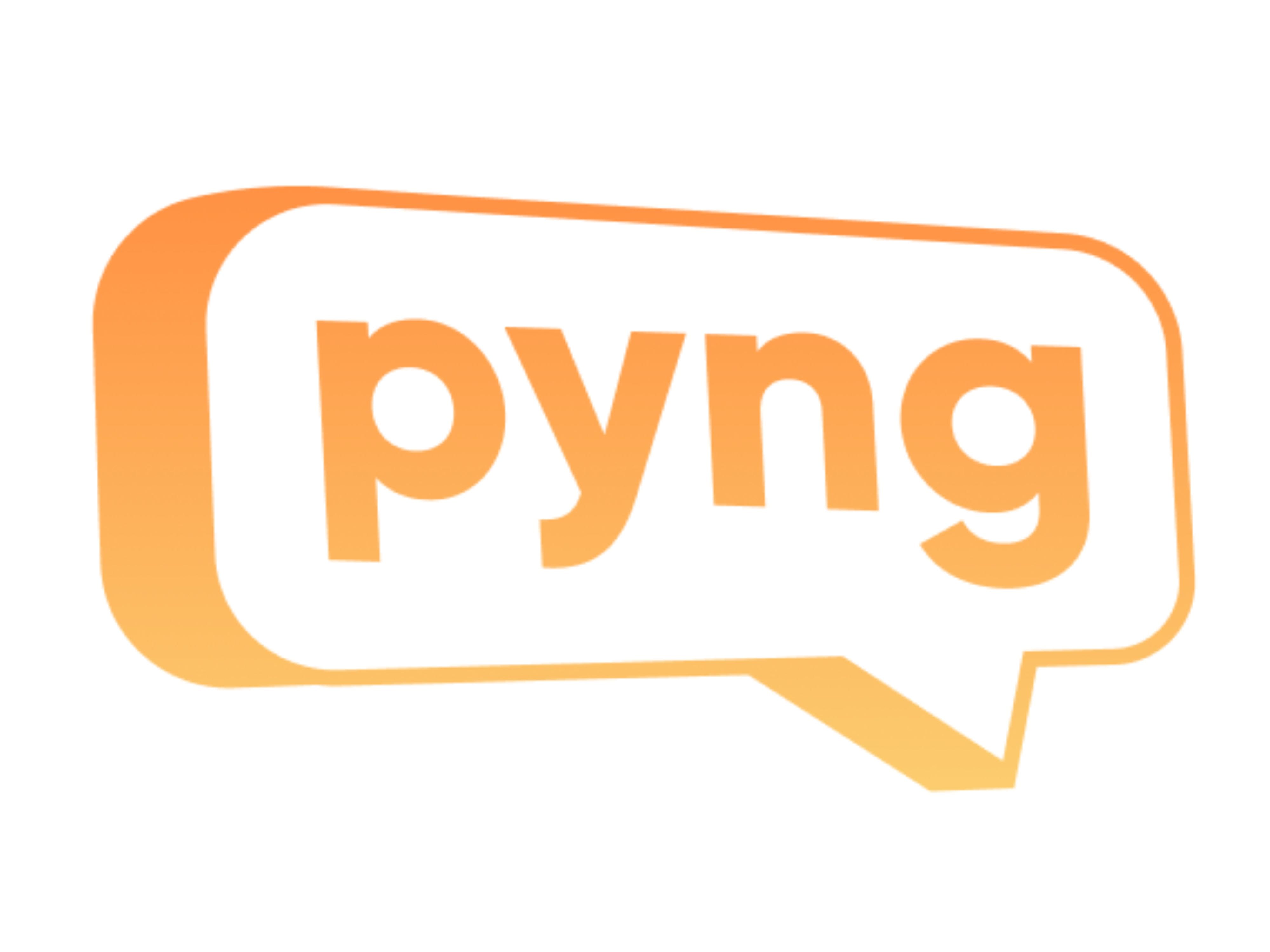 Why PYNG is the Only Platform You Need for Professional Help