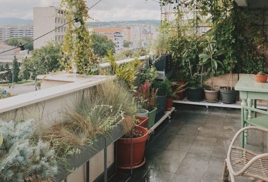 Balcony garden with various potted plants