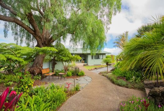Lush tropical garden with winding path