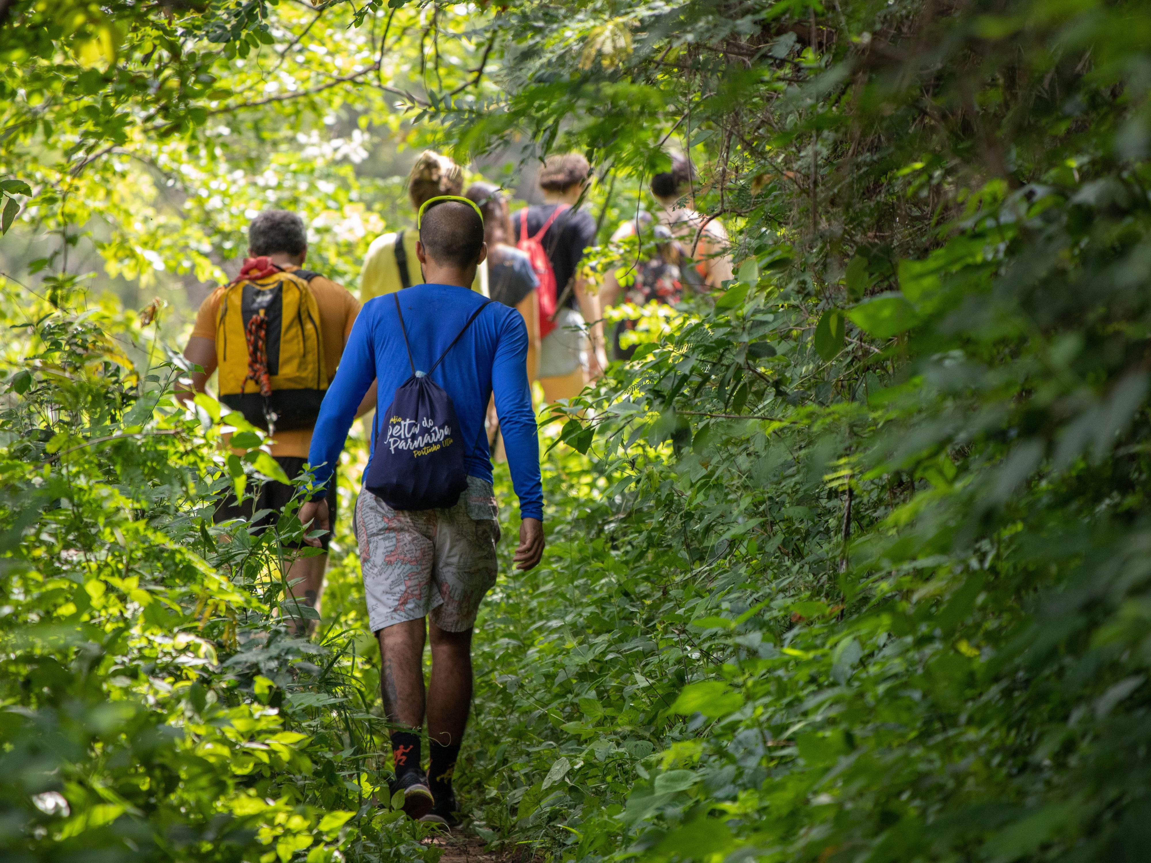 Group hiking on a narrow forest trail surrounded by greenery