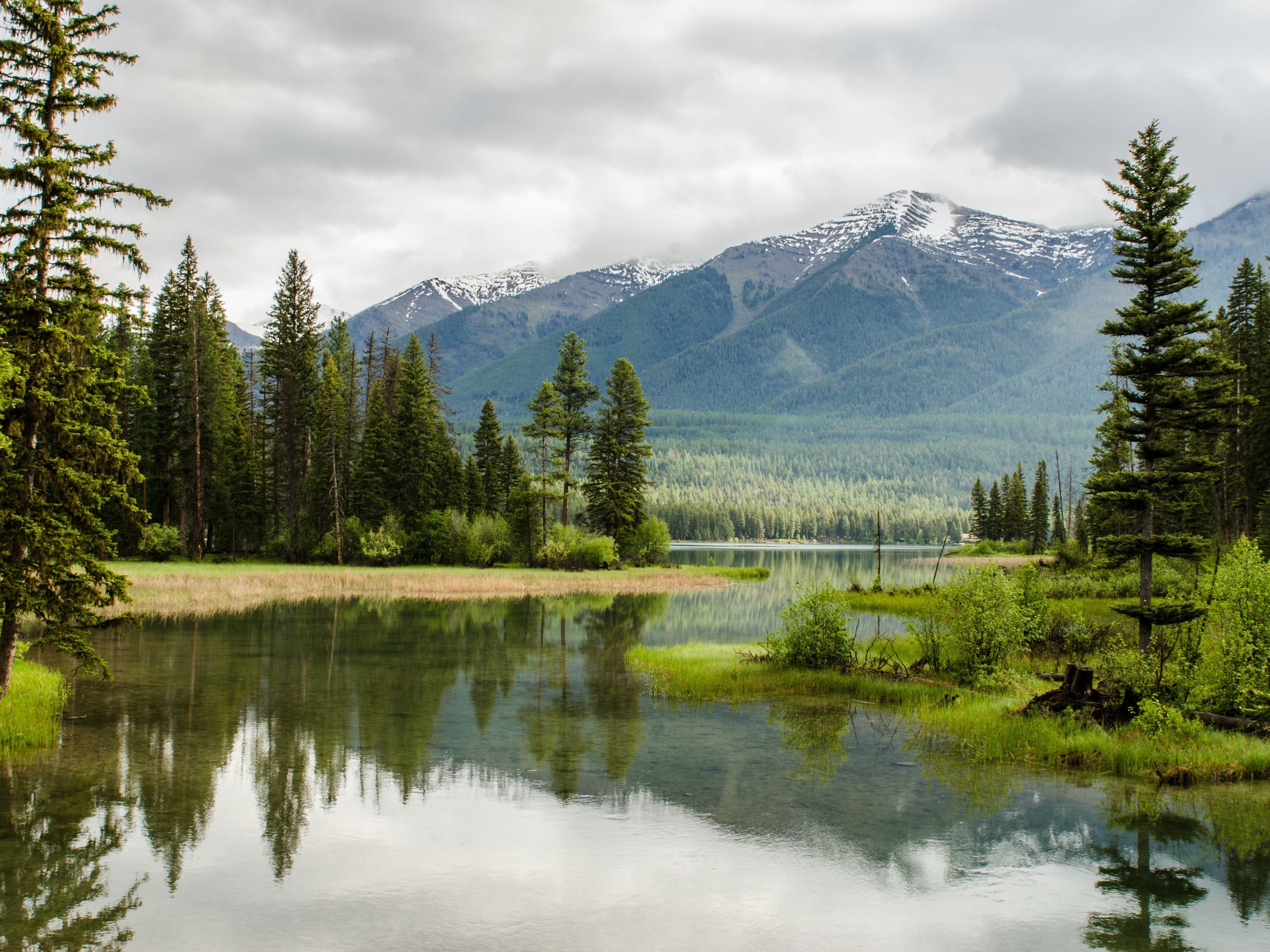 Scenic lake with pine trees and snow-capped mountains