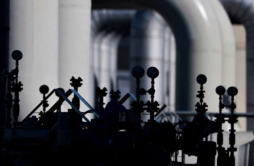 Less than 10% of German gas levy to go to firms that don&#8217;t need it, says Habeck