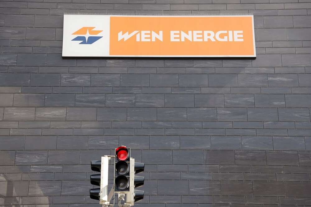Vienna power firm denies speculating in futures as it seeks state loan