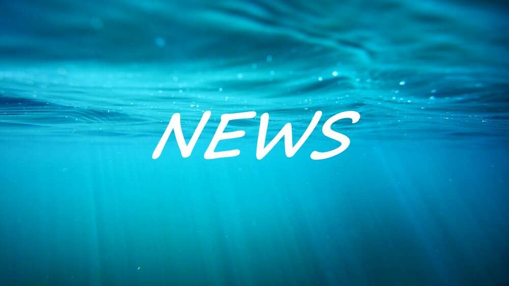 SynApps Announces the General Availability of its New eReferrals Gateway Solution, Developed in Partnership with Sandwell and West Birmingham Hospitals NHS Trust