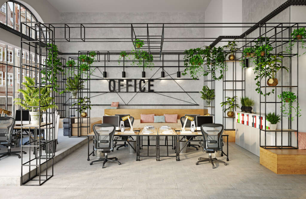 NEW STUDY REVEALS WHY HAVING OFFICE PLANTS CAN IMPROVE PRODUCTIVITY IN THE WORKPLACE