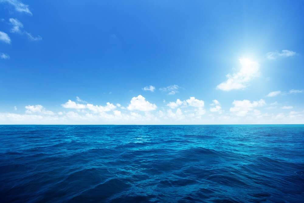 Amundi and Accor support oceans in collaboration with Fondation de la Mer