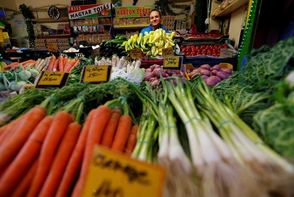 Private investor-backed finance key to the growth of nature investing and food security