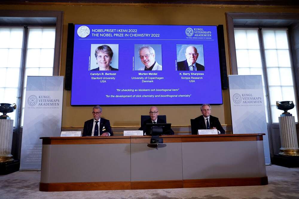 Nobel prize goes to pioneers of Lego-like &#8220;click chemistry&#8221;