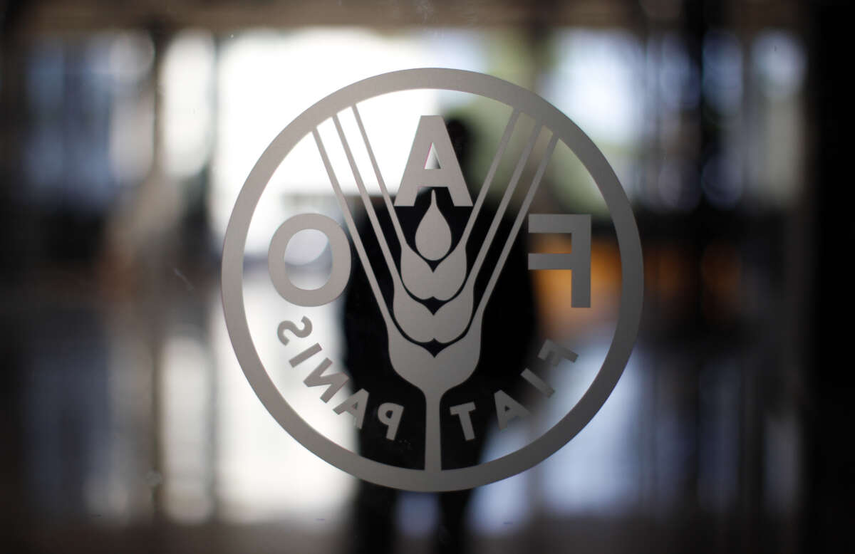 World food price index falls for sixth month in Sept -FAO