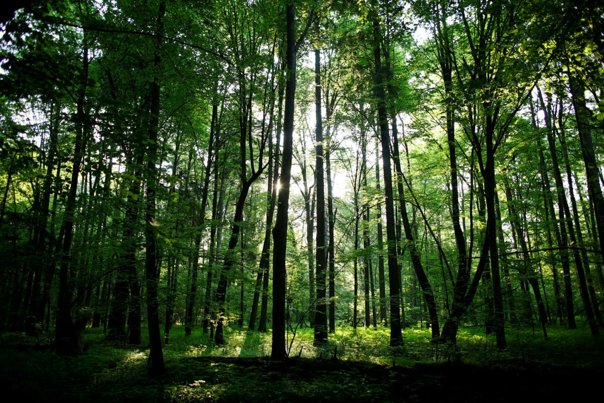 Analysis-Europe hits resistance in race to finalise green laws