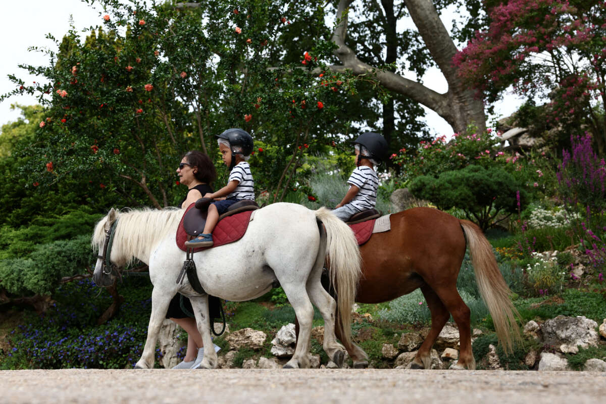 Paris bans pony rides for children following animal rights campaign