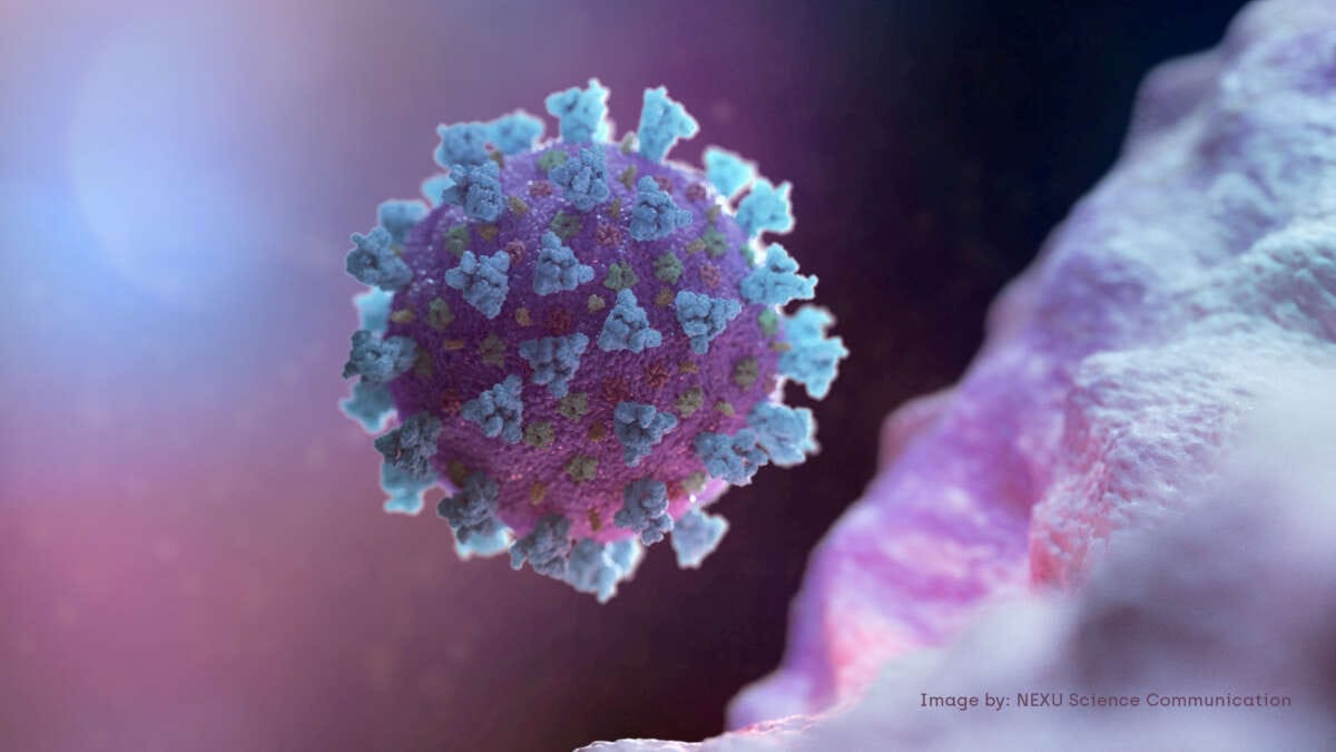 England confirms 34 COVID cases linked to highly mutated variant &#8211; UKSHA