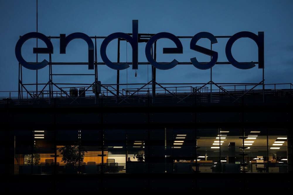 Endesa warns of slowdown in renewables development