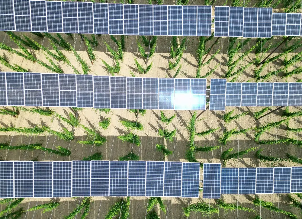 Renewable energy&#8217;s share on German power grids reaches 55% in 2023