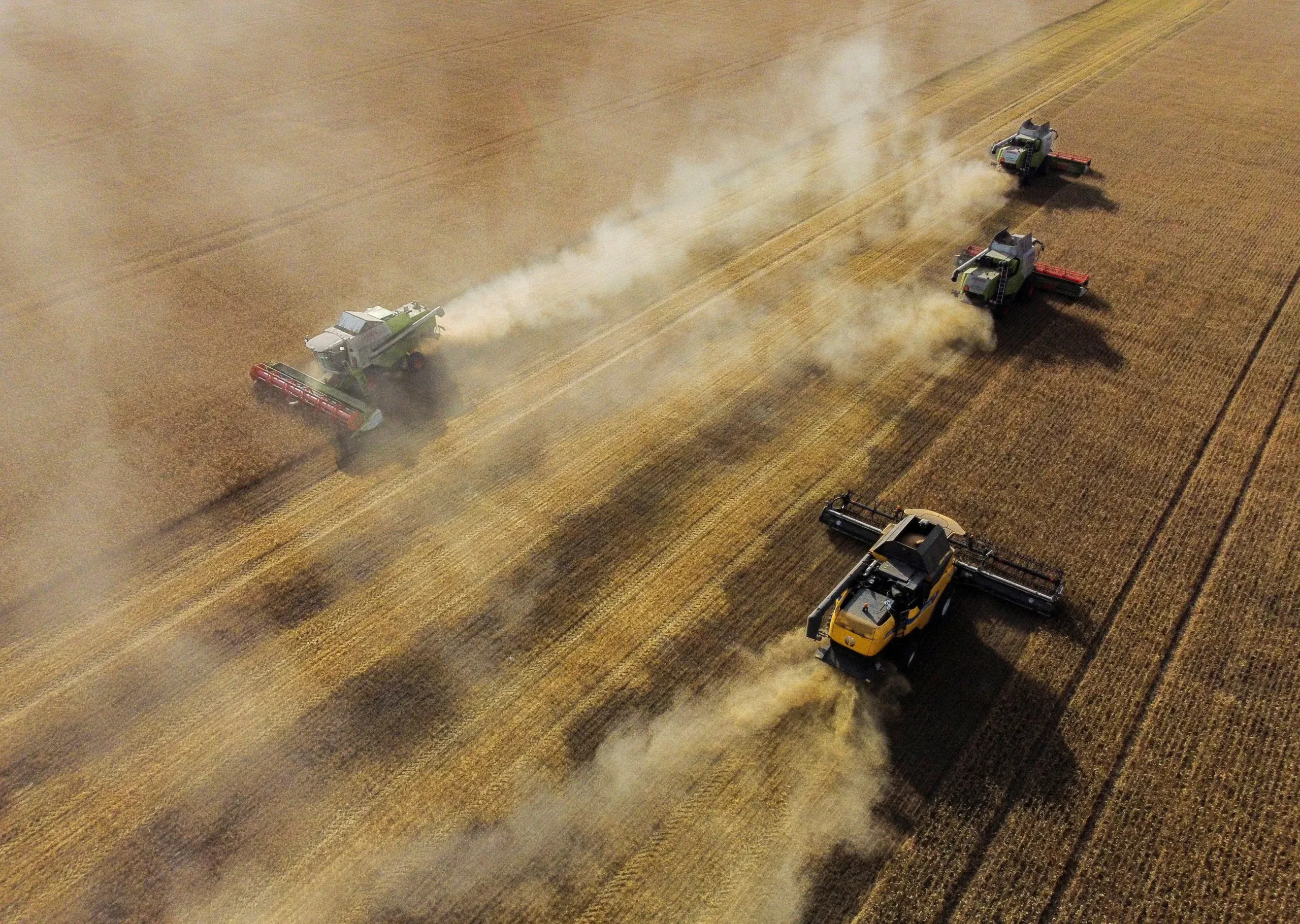 Column-Black Sea grain exports beating early market ideas by substantial degree -Braun