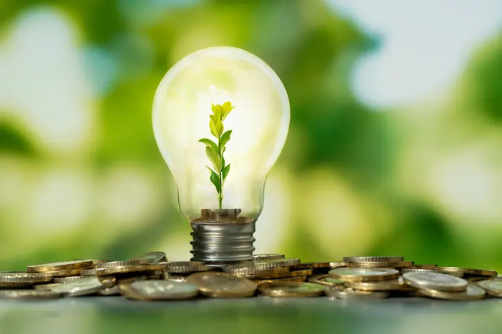Empowering Resilience: Unleashing the power of Uninterruptible Power Supply (UPS)