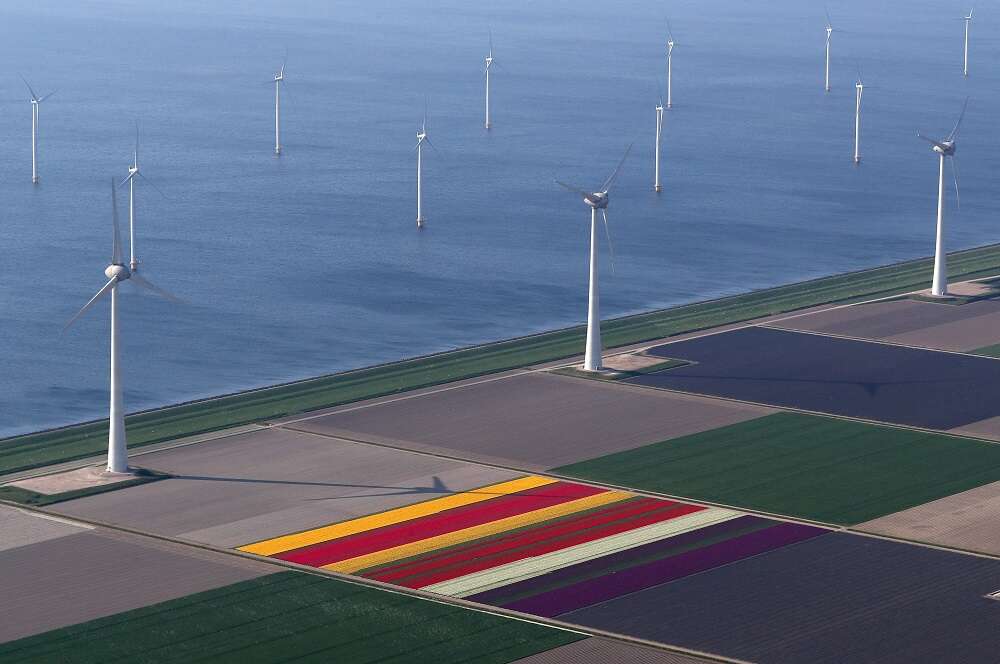 Dutch wind farm blows away opposition as &#8216;new millers&#8217; get a stake