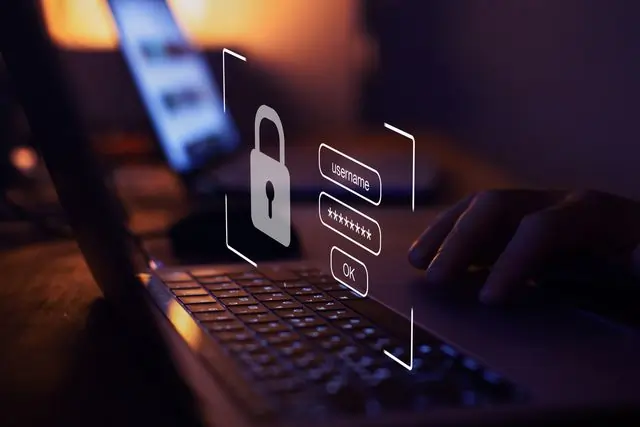 REVEALED: The biggest cybersecurity risks for business owners in 2024