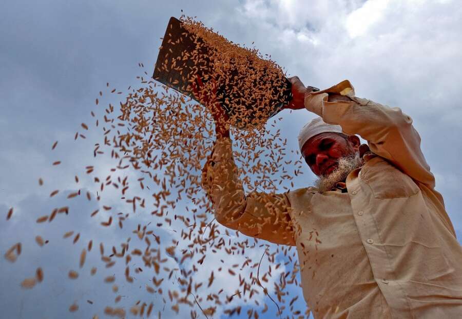Aggregation is the key to unlock the huge potential of Africa’s smallholder farmers