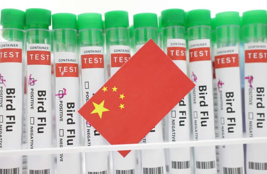 China records world&#8217;s first human death from H3N8 bird flu -WHO