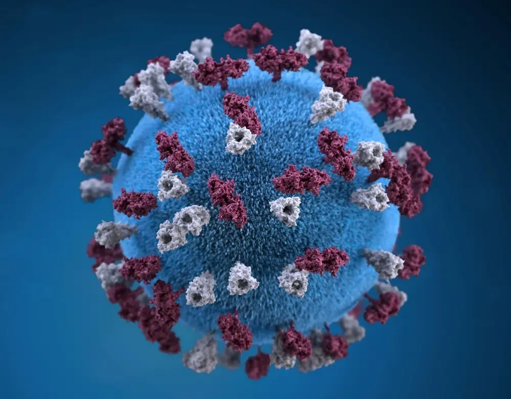 UK health agency warns &#8216;very real risk&#8217; measles outbreak spreads