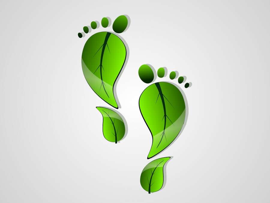 The UK’s greenest delivery company* unveils its ‘Footprints’ advert 