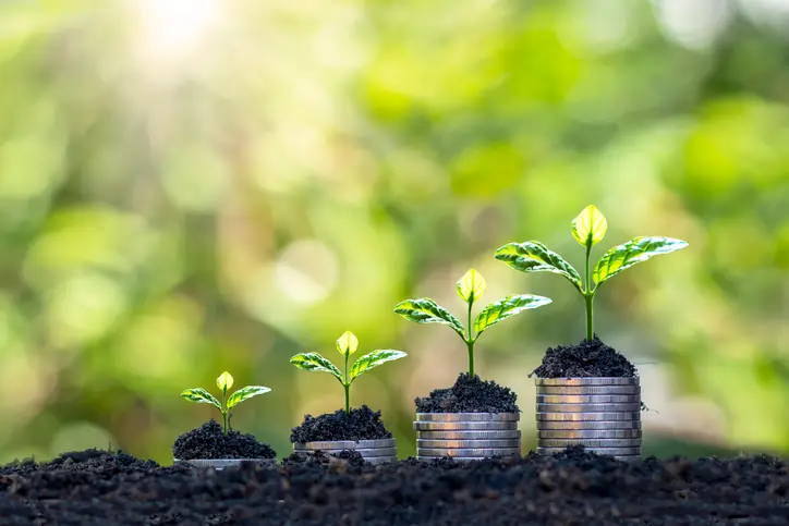 From Field to Finance: How Accountancy Firms Can Support the Agriculture Industry