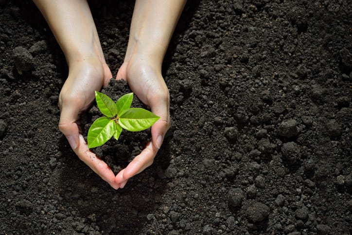 SKSC RENEWS ISO 14001, DEMONSTRATING HIGH STANDARDS FOR ENVIRONMENTAL MANAGEMENT STANDARDS