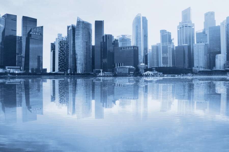 The growth and shares of large corporations are at their highest, despite the pandemic