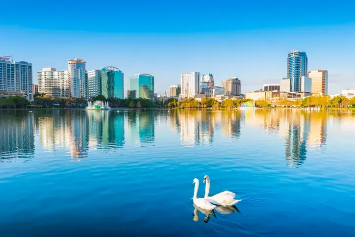 What companies insure homes in Florida