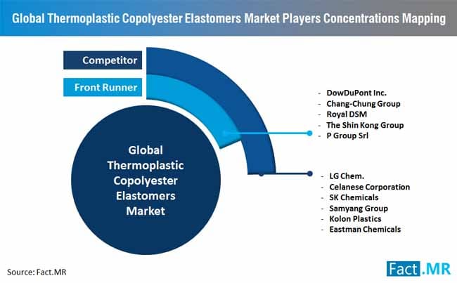 Styrenic Thermoplastic Copolyester Elastomers Industry will Remain Consolidated among Top Tiered Companies