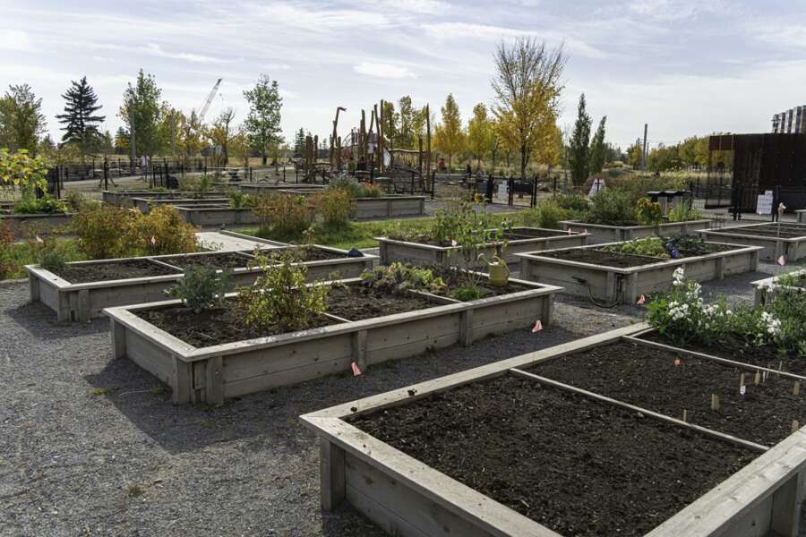 GET YOUR PLANTING DESIGNS CRITIQUED ONLINE BY THE BEST IN THE WORLD!