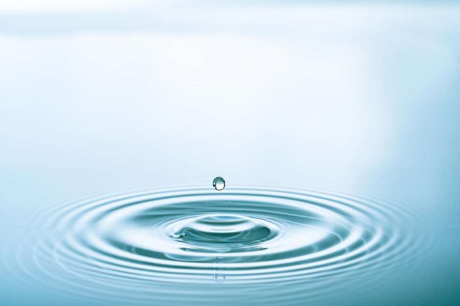 Everflow launches first free Business Water Efficiency certification scheme