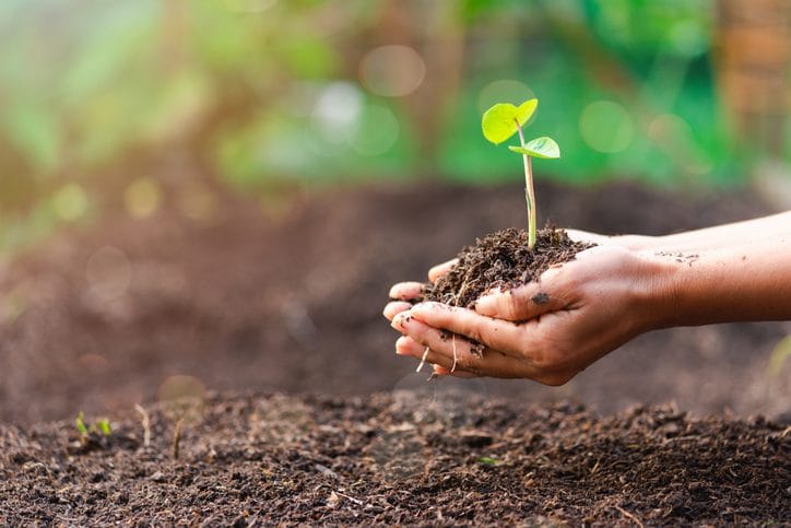 What are the three pillars of sustainability