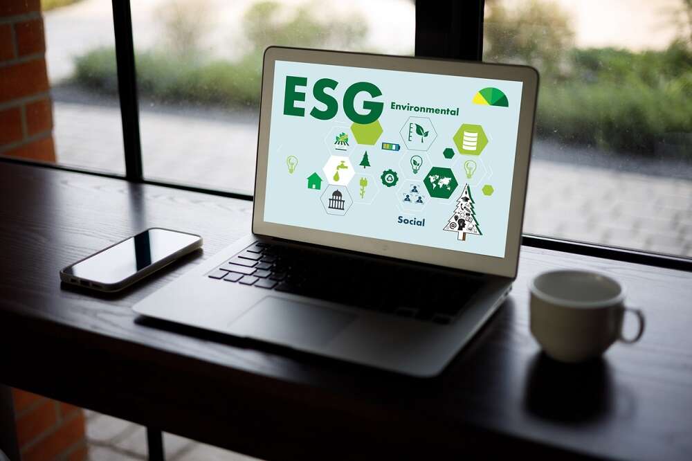 Seven competencies that successful ESG leaders need