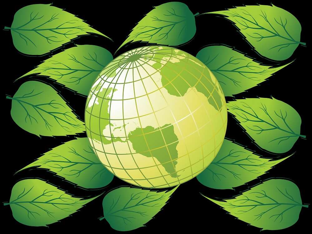Cost and fragmented data emerge as top barriers to reducing carbon footprint