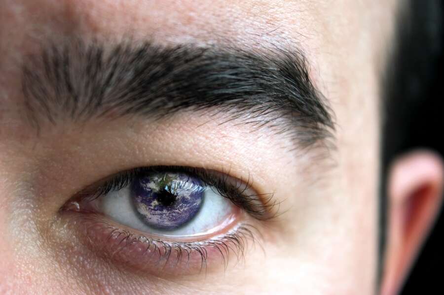 Eye wonder – a peek into the biology of our peepers