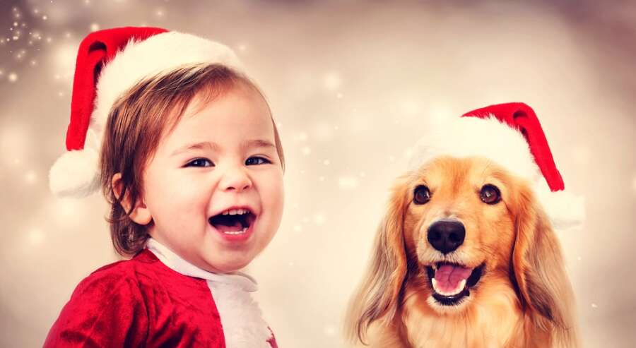 Countdown to Christmas with your four-legged friend and the Pooch &#038; Mutt Advent Calendar for dogs