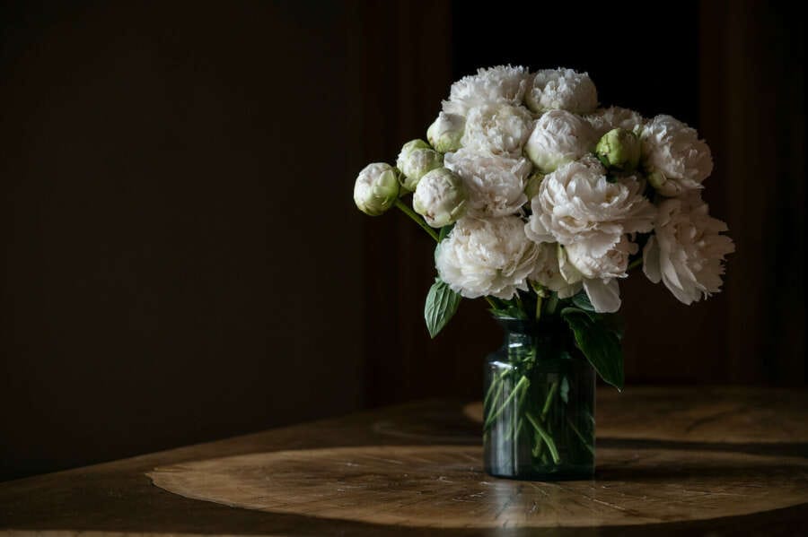ADD A SPLASH OF COLOUR AND FLORAL FRAGRANCE TO YOUR HOME THIS SPRING WITH BLOOM’S LUXURIOUS PEONIES AND STRIKING FLOWERS