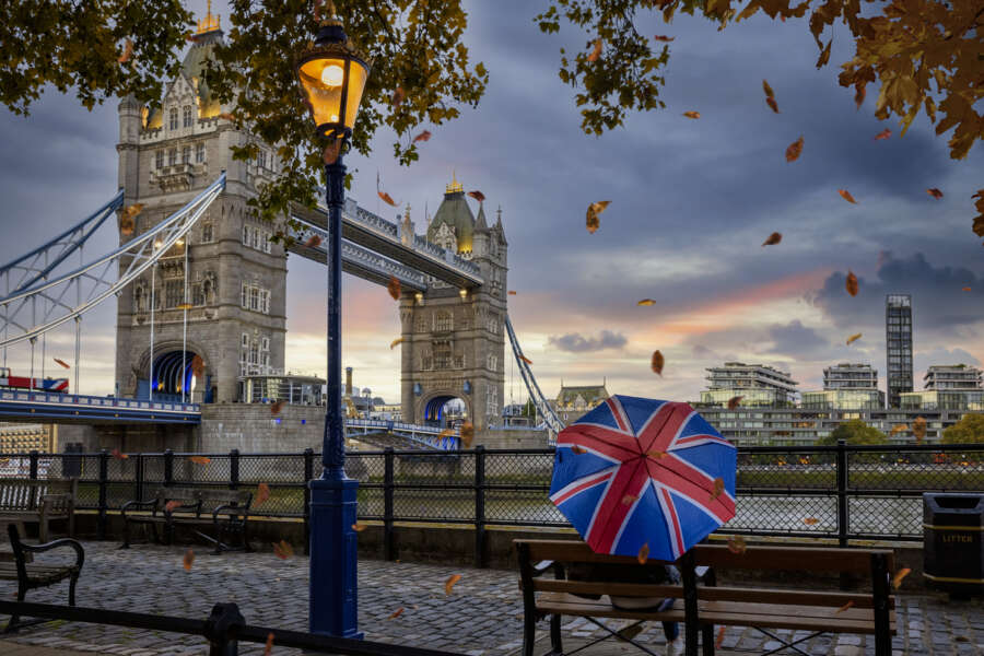 ILLUMINATURE &#8211; fall under nature&#8217;s spell at London&#8217;s unique light trail