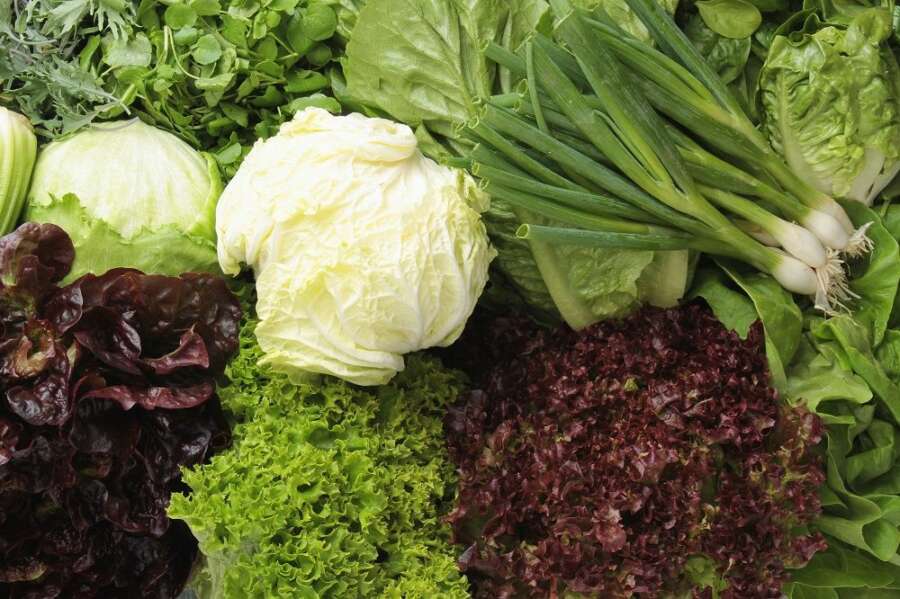 Plenish joins Wild by Tart to celebrate the finest plant based ingredients for Veganuary
