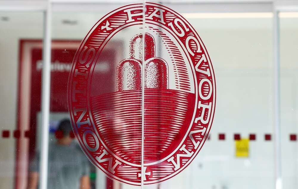 Italy&#8217;s MPS sees &#8216;safe habour&#8217; ahead after strong quarter