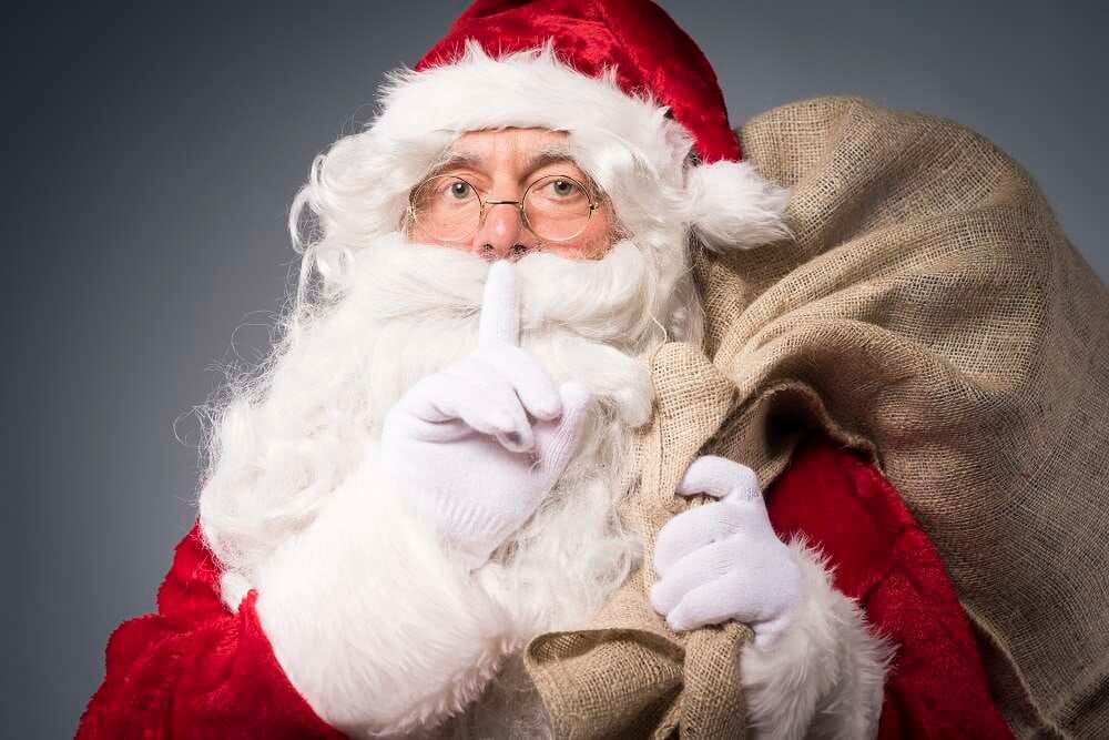 New Children’s picture book, ‘Santa’s Secret Agents’ released in time for Christmas