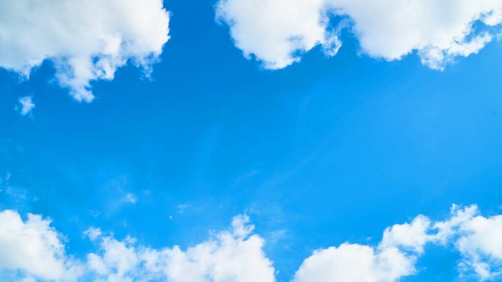 The Role of Climatic Variation in the Ecophysiological Process