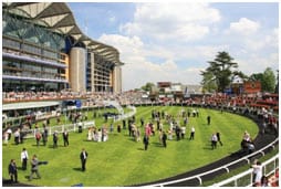 Racecourse