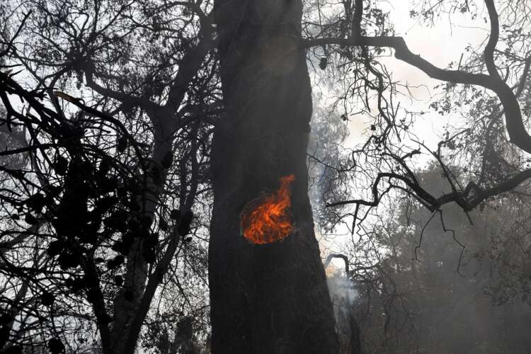 Wildfire engulfs houses in suburbs of Athens