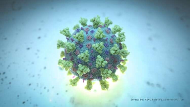 AstraZeneca antibody cocktail study shows success treating COVID-19